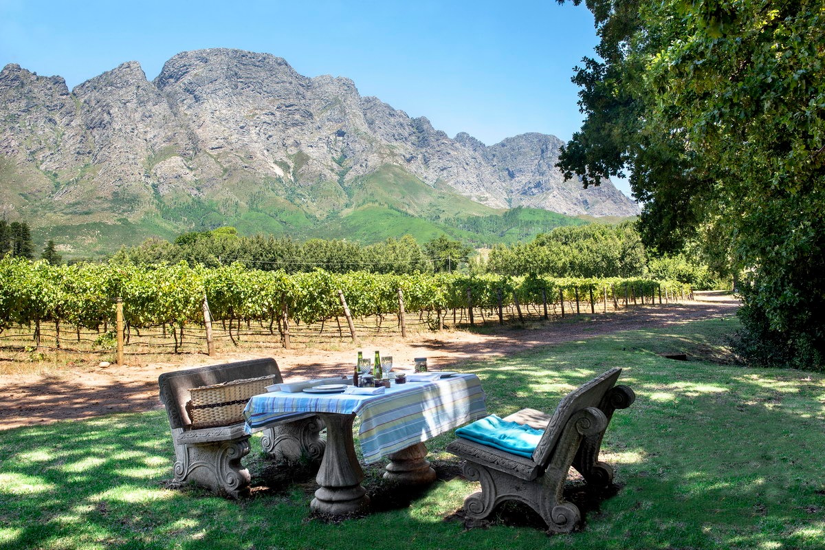 Top 5 Cape Town Picnic Spots Experience Inspiration!